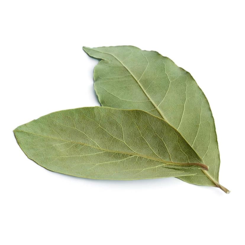 Premium Indian Bay Leaf Whole – 50 gm (Single Origin, Farm Direct Produce, Organically Grown & Made in small batches) view 2