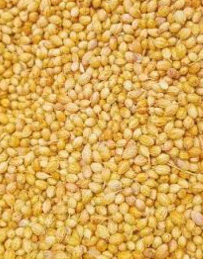 Coriander Seeds view 2