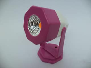 Pink Single Focus with Constant/Steady Function