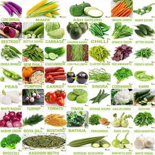 FLARE SEEDS No.1 Organic, Winter, Summer, Home Garden, Seeds Bank, Vegetable 45 Seeds Combo