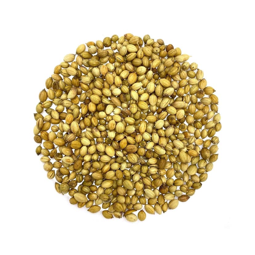 Gunvika Coriander Seeds Whole | Dhaniya Seeds | Sabut Dhania - 200 gm view 2