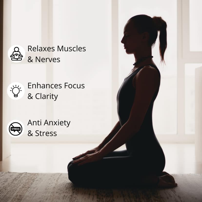 SomaShrooms Lion's Mane Natural Brain Power Booster view 2