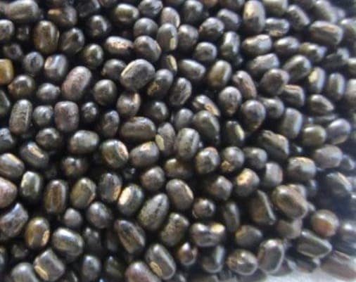 URAD / BLACK GRAM 1Kg packing view 2