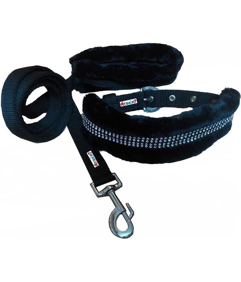 Petshop7 - Blue Dog Combo (Large)