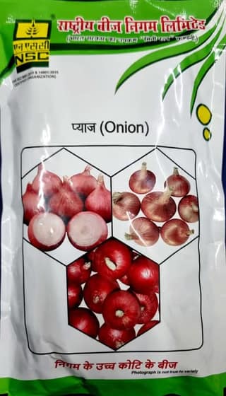 NSC ONION SEEDS - AFLR TL - 250GMS