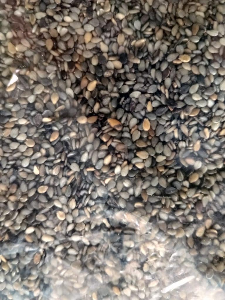 sesame (til ) view 2