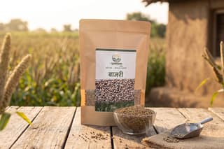 Premium Quality Bajari Grain for Traditional Indian Cooking