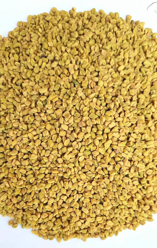 Milkar Chalo Kisan Methi / Methi Dana / Fenugreek Seeds 350g