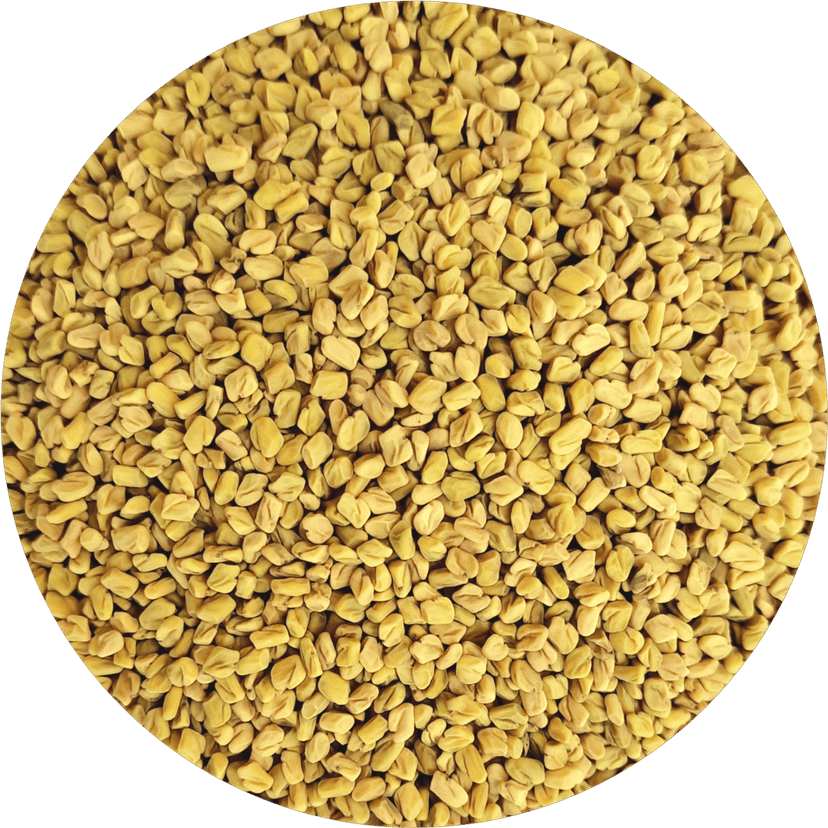 Milkar Chalo Kisan Methi / Methi Dana / Fenugreek Seeds 350g view 2