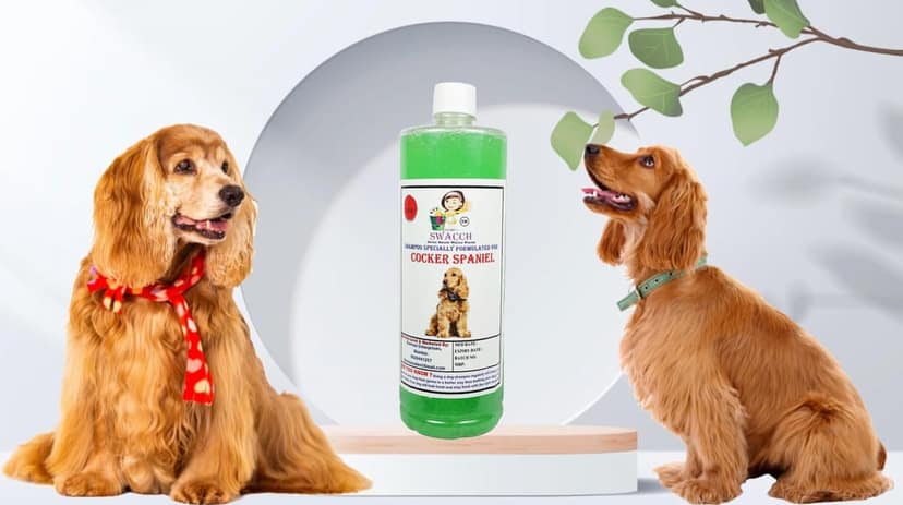 SWACCH Shampoo Specially FORMULATED for Cocker Spaniel (1 Litre) NEEM ALOVERA