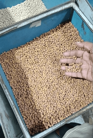 Chana