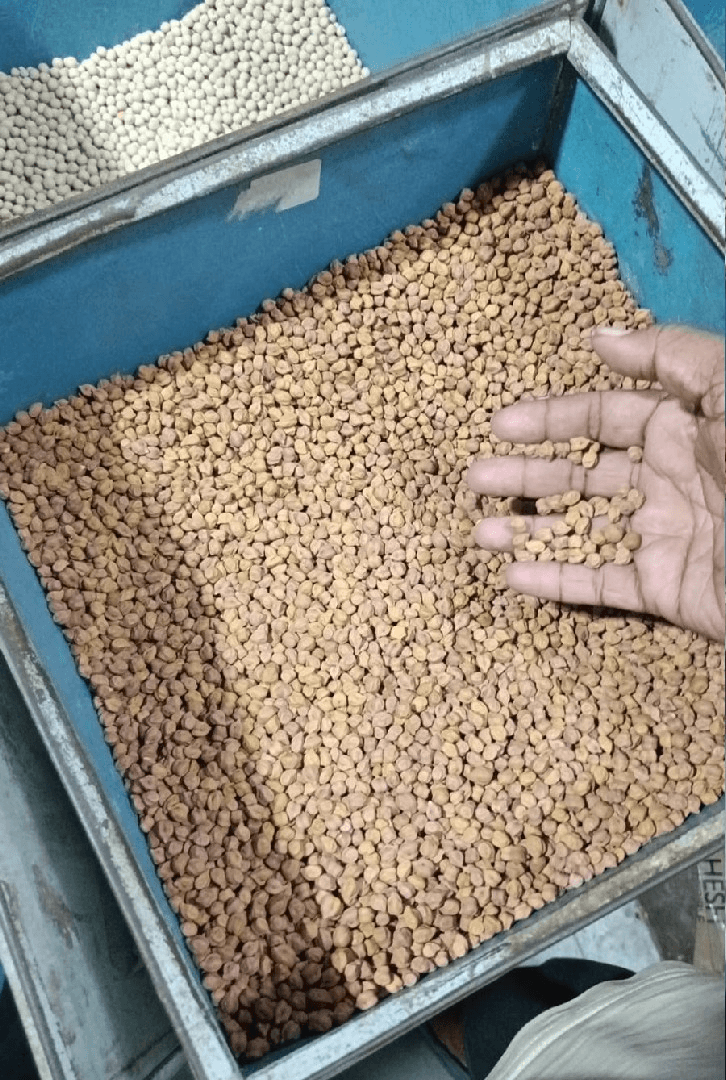 Chana