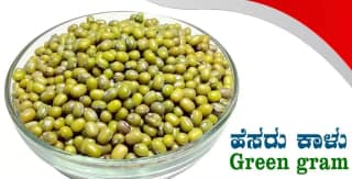 Kodli Kisan Green Gram 1kg | Unpolished Moong Dal Whole | Protein-Rich & Naturally Grown