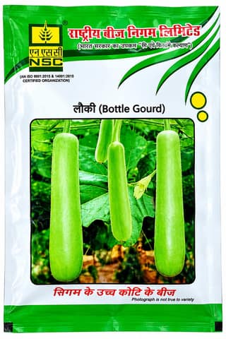 NSC Bottle Gourd PH-3 Variety , 50 gram Truthfully Labelled seed pouch