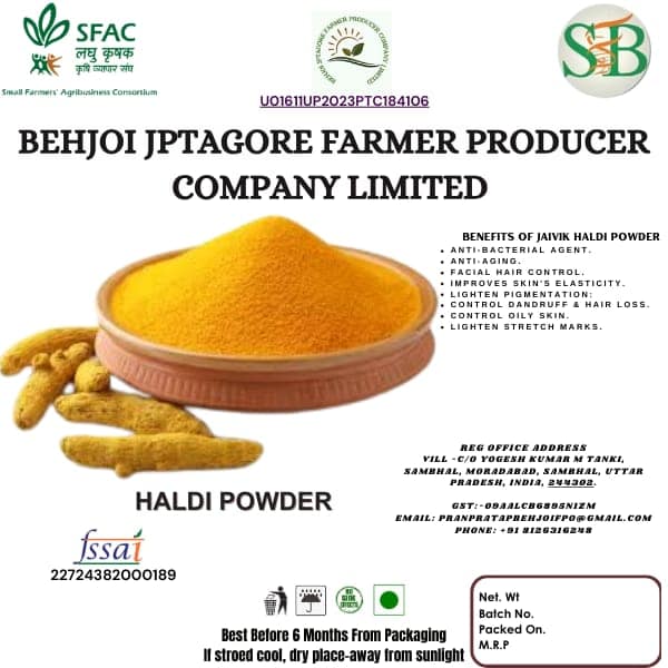 Haldi Powder