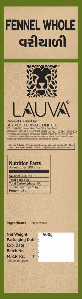 LAUVA Natural Regular Fennel Seeds I Saunf I Variyali I Whole Indian Spices view 2