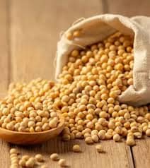 SOYA BEAN view 2