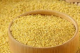 Foxtail Millet view 2