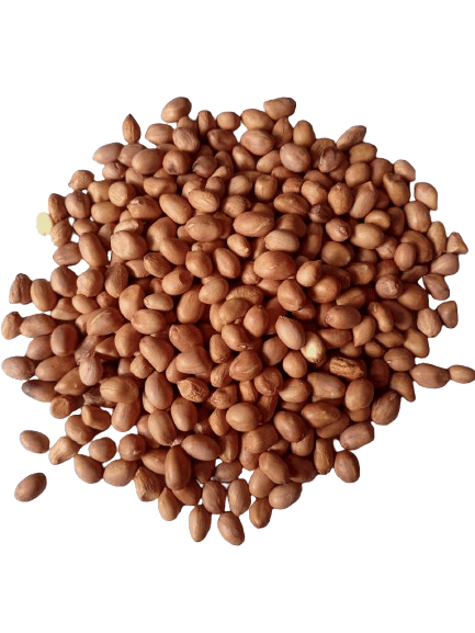 Groundnut Kernel/Peanut view 2