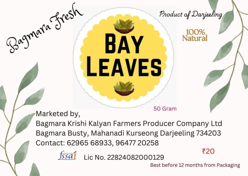 Bay leaf view 2