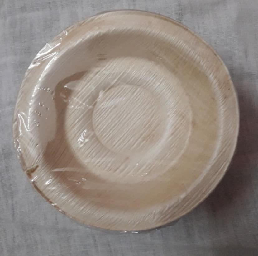Areca Leaf Plates — 10 inch Square / 25 pcs view 2