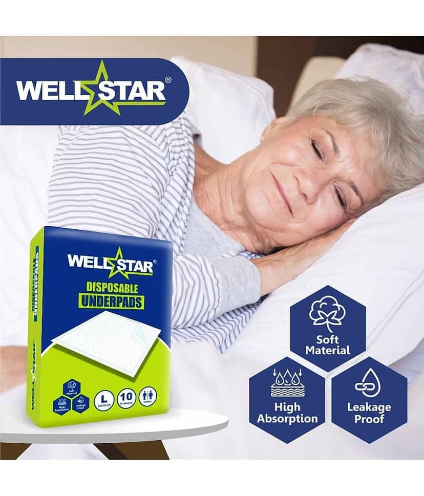 Wellstar Large 10 Pcs Pack of 1 view 2