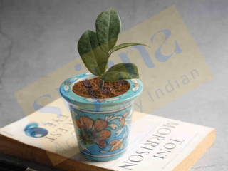 Srjana Handcrafted Blue Pottery Planter 1pc