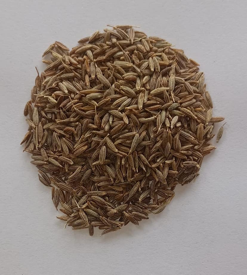 SADA JIRA/ CUMIN view 2