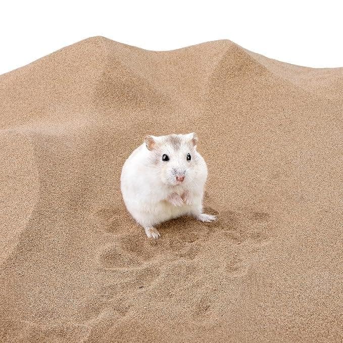Vasio Stone Hamster Bath Sand for Hamsters, Gerbils & Cats 1 kg
