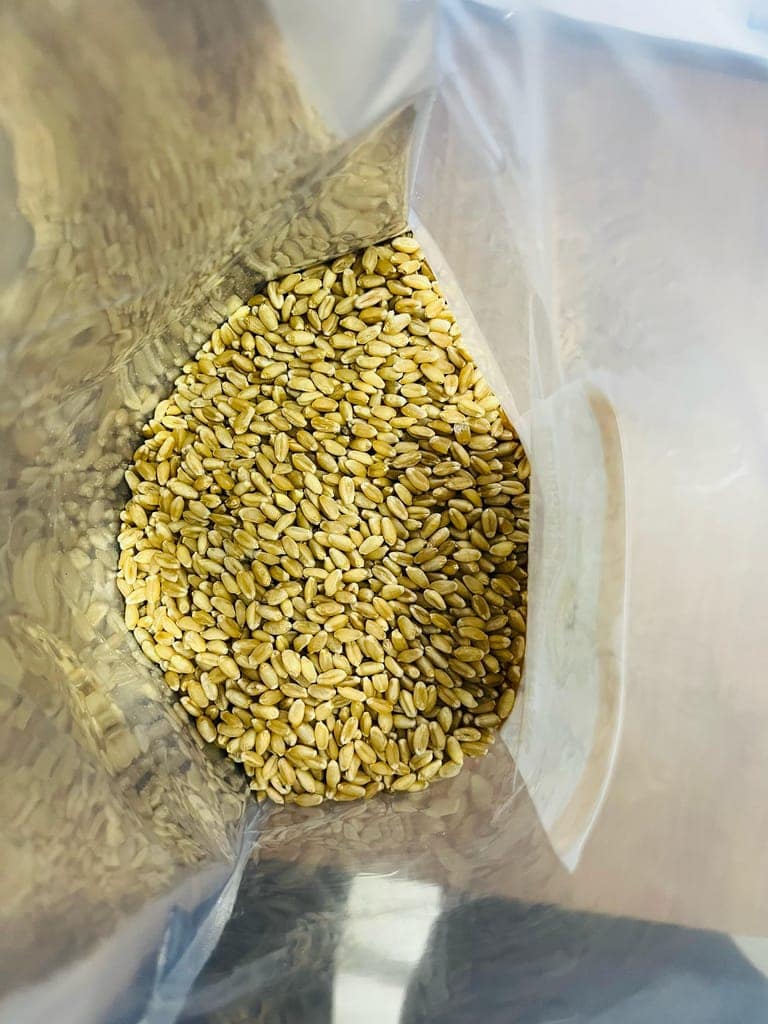 Wheat (1Kg) view 2