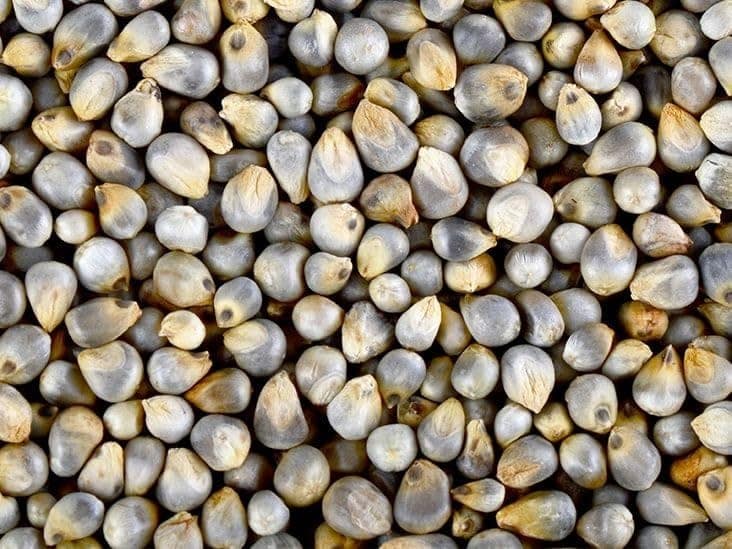 Bajra Seeds, Natural Pearl Millet for Energy & Wellness, 2 kg view 2