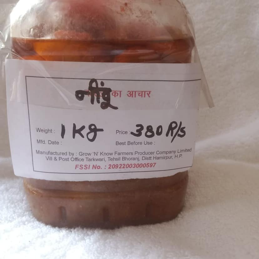 Nimbu ka Achaar (Lemon Pickle) view 2