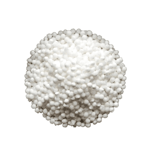 Sabudana 1 Kg