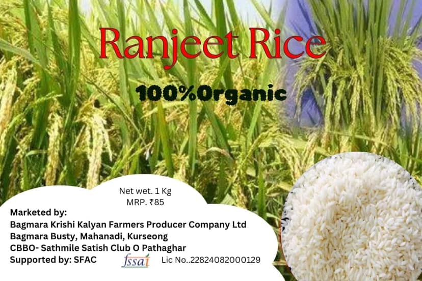 Rice view 2