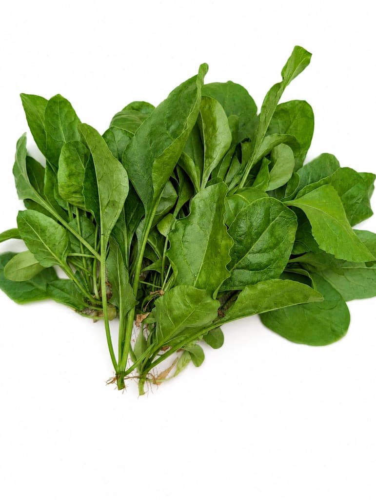 Baby Spinach view 2