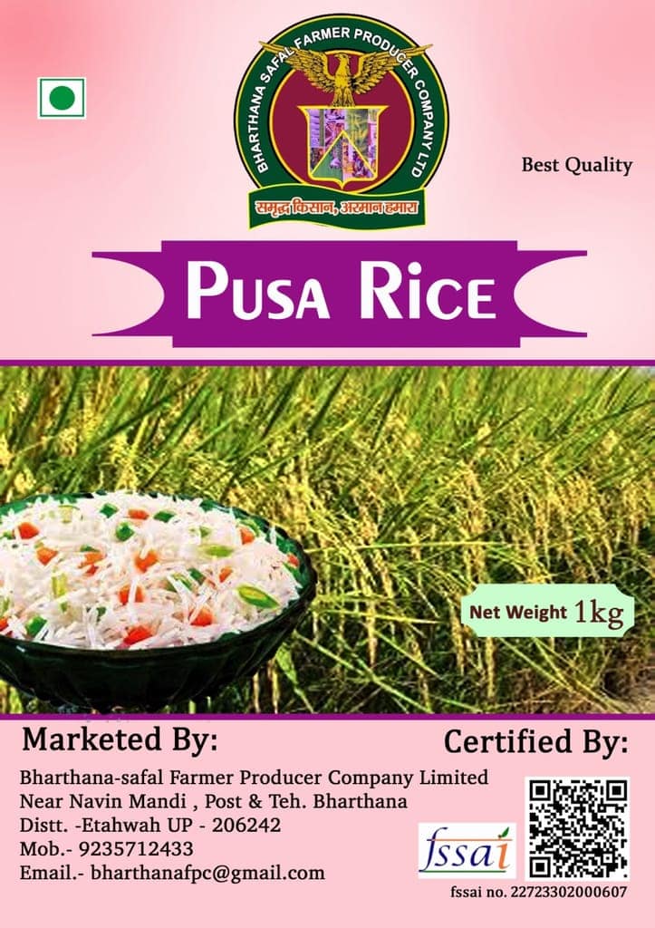 PUSA RICE view 2