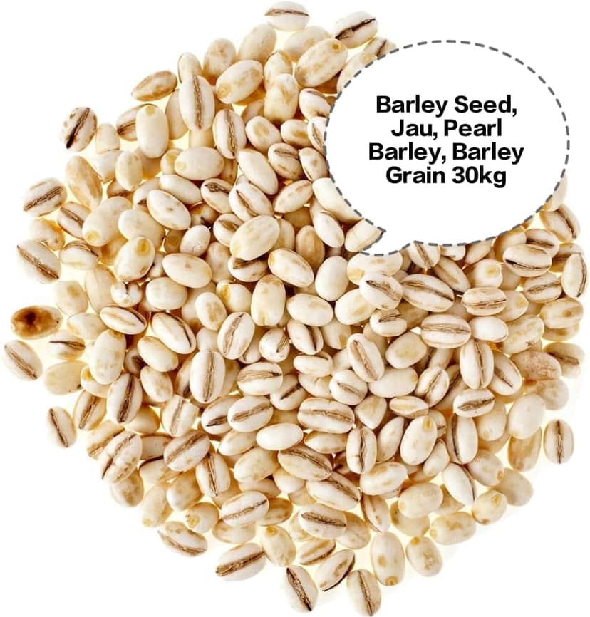 Barley Seed, Jau, Pearl Barley, Barley Grain, Jau Dana 30kg view 2