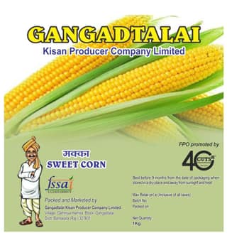 Sweet Corn - 1 PC
