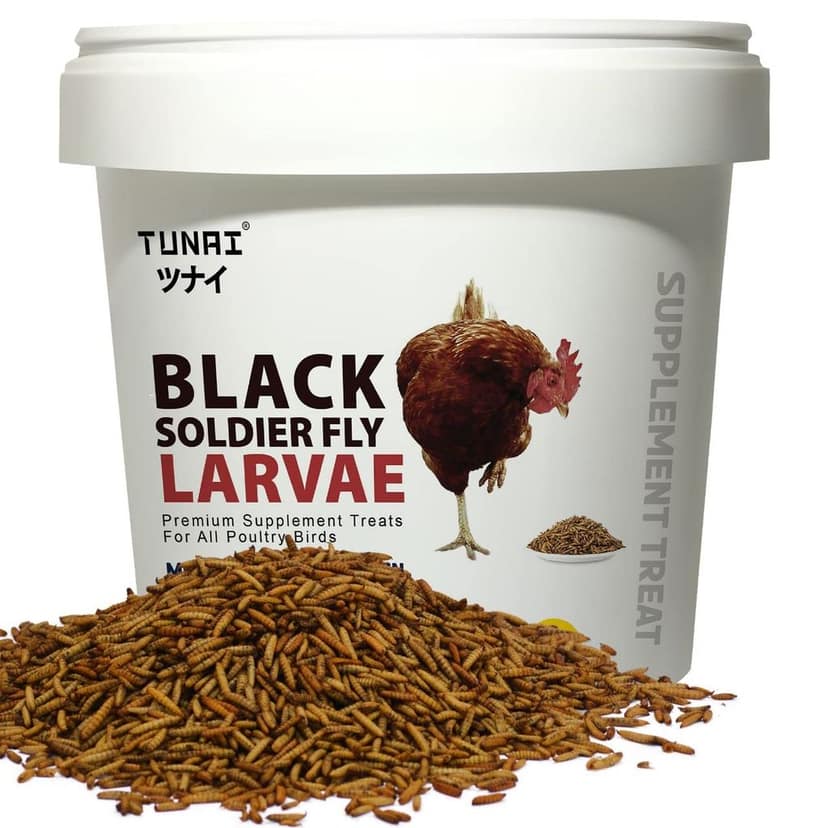 Tunai Supplement Black Soldier Larvae Treat for All Poultry Birds (Adult Chicken, 500g) view 2