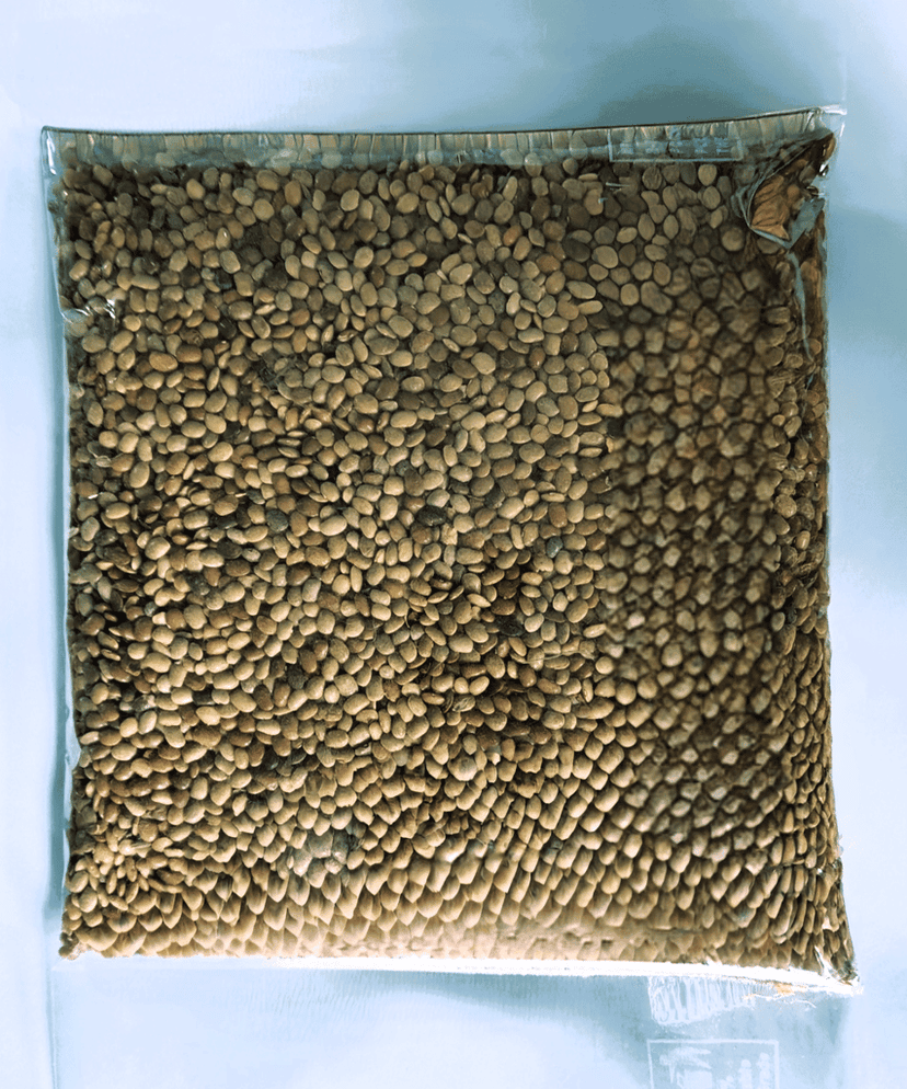 Premium Chhauagro Horse Gram Dal - 500g view 2