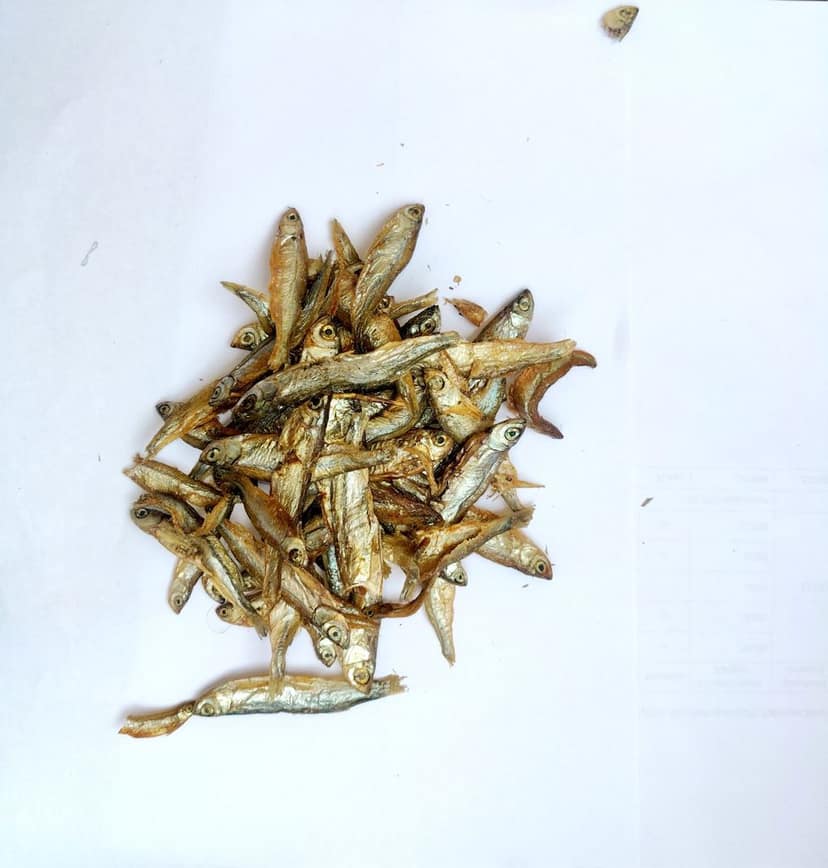 DRY FISH view 2