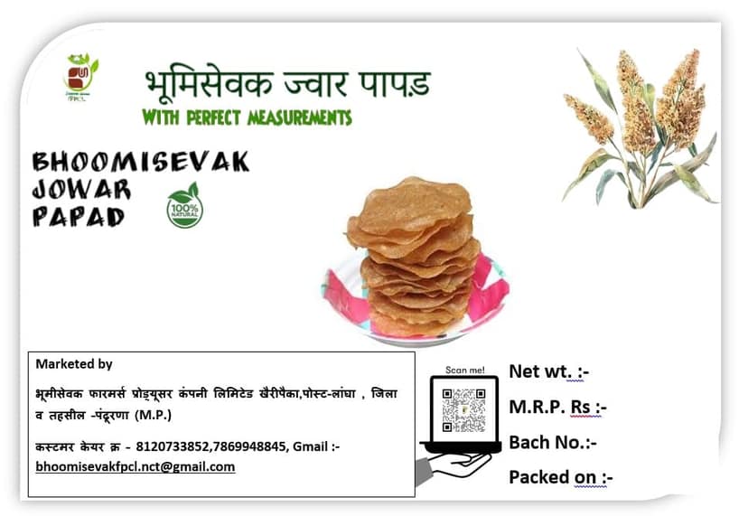 Bhoomisavak Jowar Papad - Crispy Sorghum Snack view 2