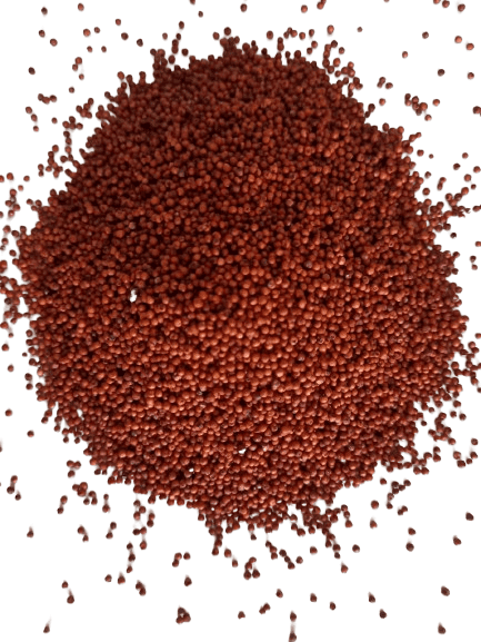 Ragi / Finger Millet view 2
