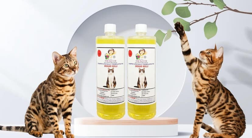 SWACCH Shampoo Specially FORMULATED for Indian Billi (1 Litre) (Pack of 2) Lemon