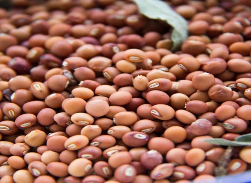 TOOR WHOLE (Pigeon Peas) view 2