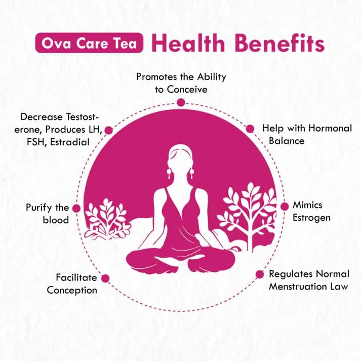 Freshville Ova care Tea | Pure & Natural | Helps With Hormonal Balance & Improves Fertility | Fennel, Nettle, Cinnamon, Ginger, Tulsi, Fenugreek, Spearmint, Shatavari, Moringa Tin (100gx3).3 view 2