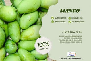 MANGO