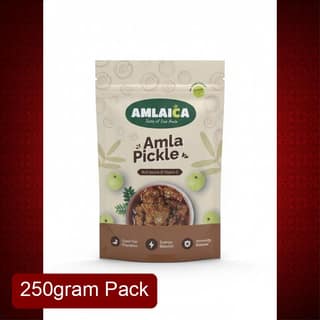 Amlaica Amla Pickle (250g) | Rich Source of Vitamin C & Immunity Booster | Traditional Indian Spicy Pickle