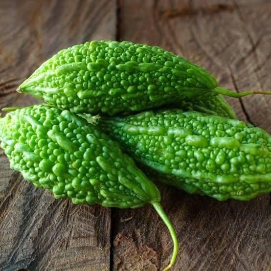 Bitter gourd view 2