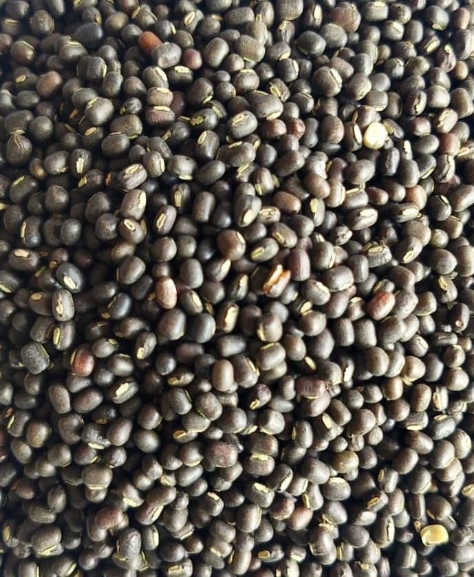 Black Gram view 2